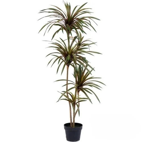 Dracaena Marginata - شجرة دراسينا مارجيناتا اصطناعية ملونة بذيل