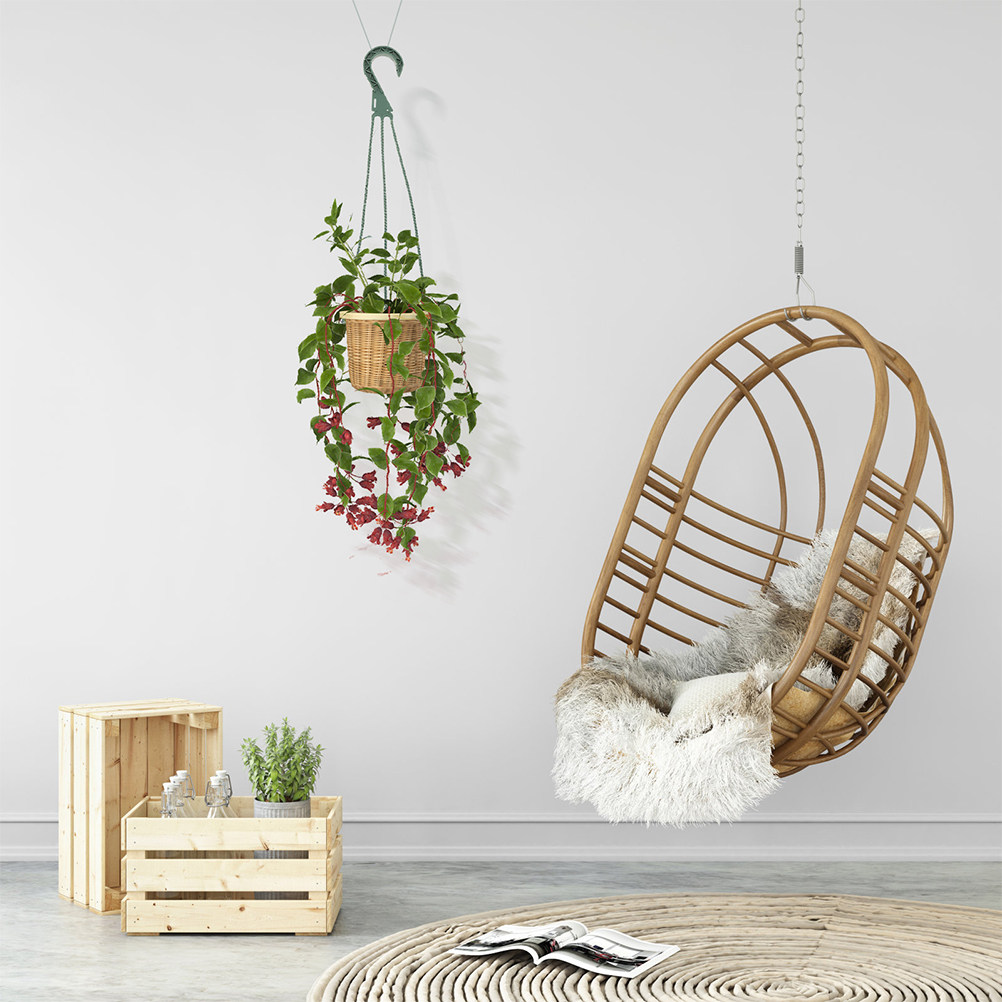 Spider Plant Hanging - مجموعة من 5 قطع من خطافات