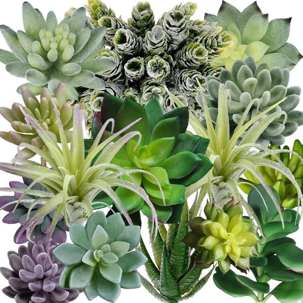 Echeveria Succulent - 15 قطعة من النباتات العصارية الاصطناعية