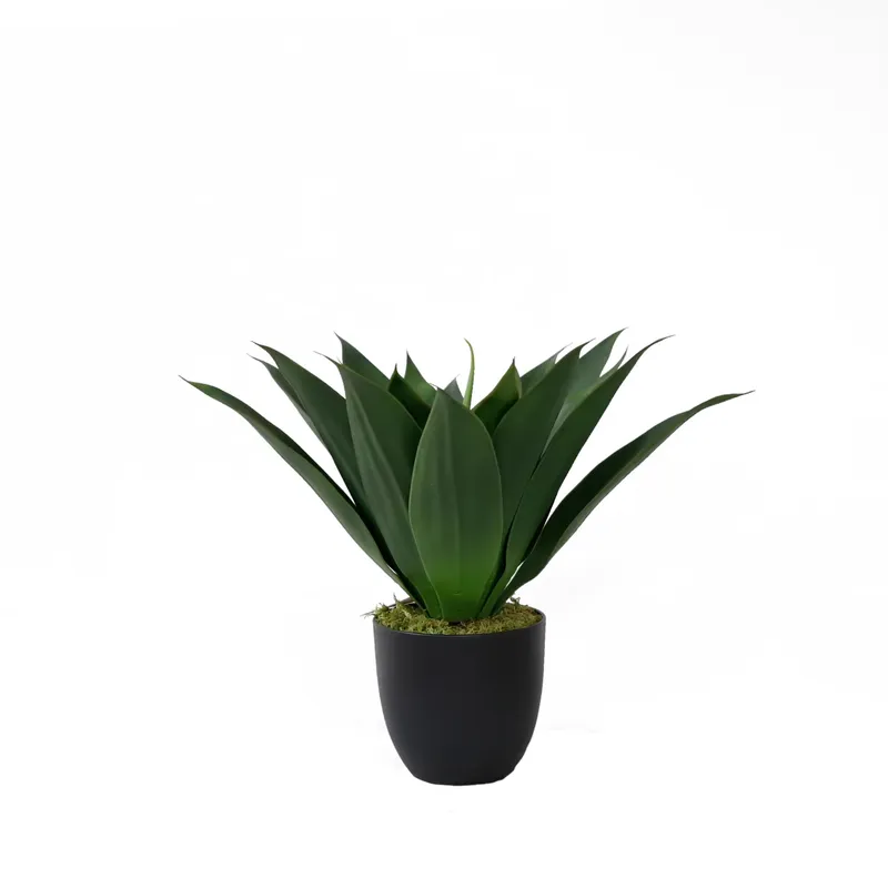 Aloe Vera Pot - نبات الصبار الاصطناعي في وعاء، نبات