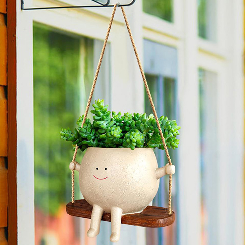 سلال شماعات النبات جميل سوينغ  - مراجعة Echeveria Succulent وسعره