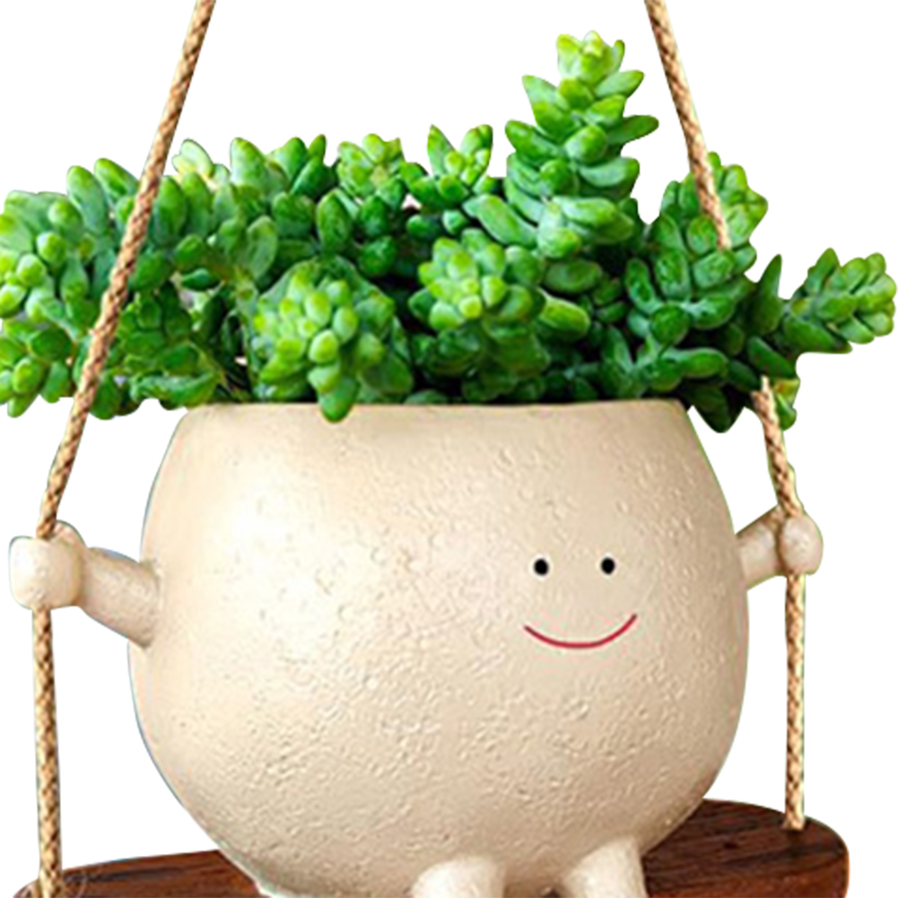 سلال شماعات النبات جميل سوينغ  - مراجعة Echeveria Succulent وسعره