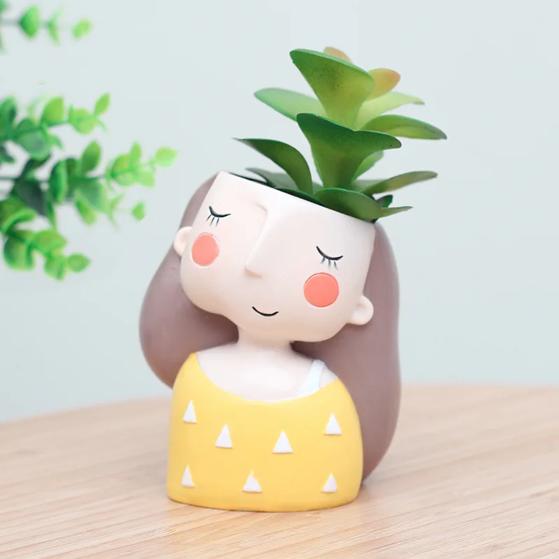 أصيص زهور للفتاة الجميلة لصبار - مراجعة Echeveria Succulent وسعره