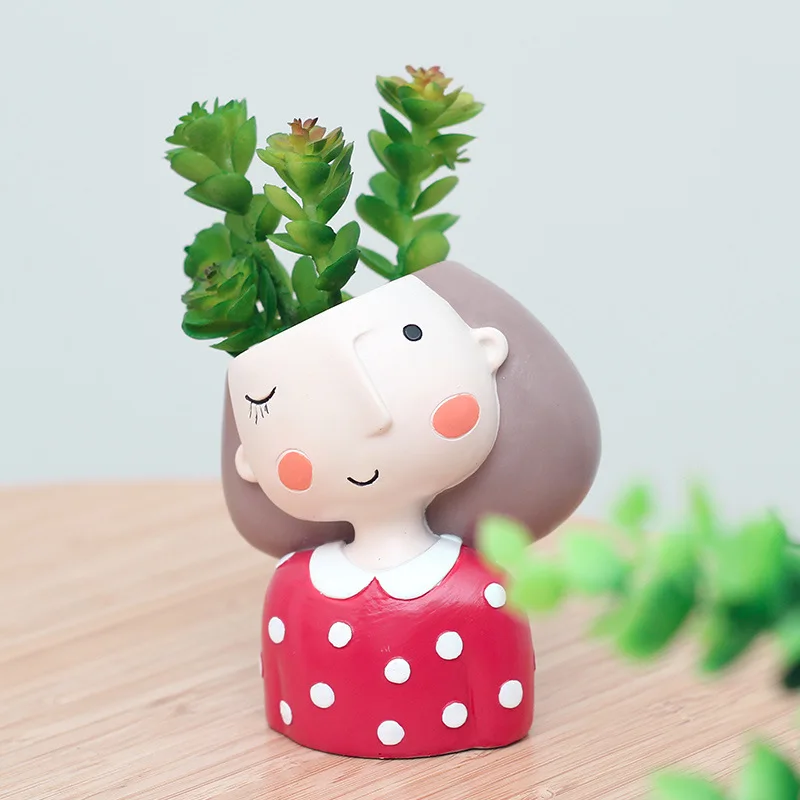 أصيص زهور للفتاة الجميلة لصبار - مراجعة Echeveria Succulent وسعره