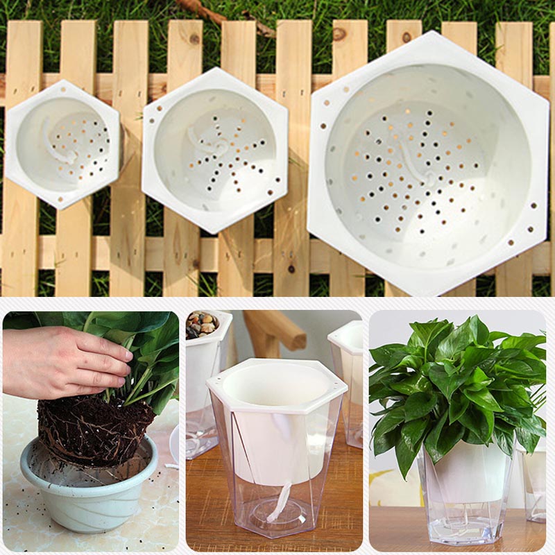 زهرة وعاء النبات الذاتي Wateri - مراجعة Aloe Vera Pot وسعره