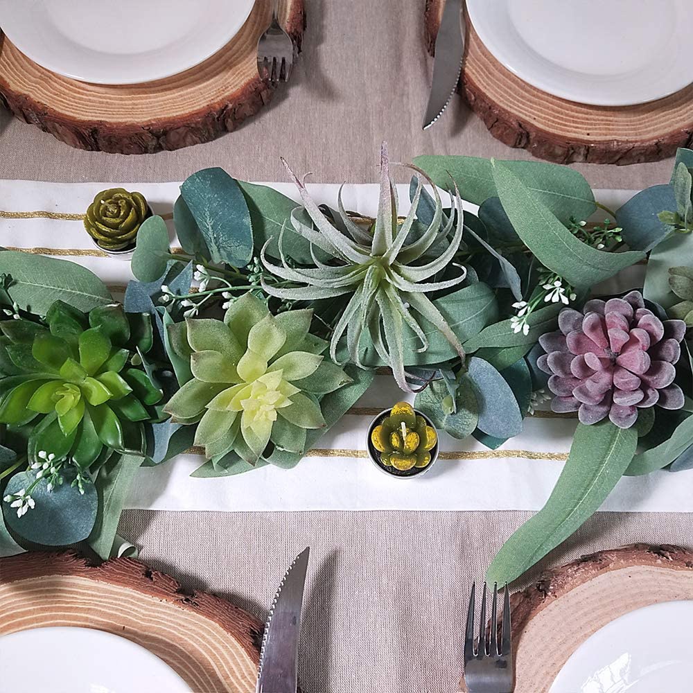 15 قطعة من النباتات العصارية ا - مراجعة Echeveria Succulent وسعره