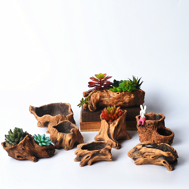 تقليد حصص خشبية جذور شجرة زراع - مراجعة Echeveria Succulent وسعره