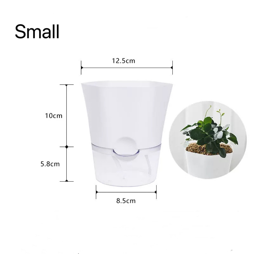 أواني نباتات ذاتية السقي من ال - مراجعة Aloe Vera Pot وسعره
