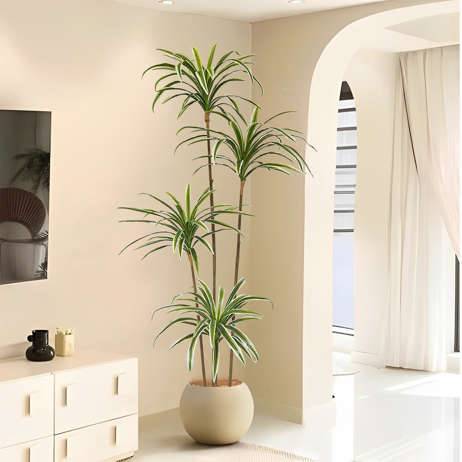 نبات دراسينا مارجيناتا اصطناعي - مراجعة Dracaena Marginata وسعره